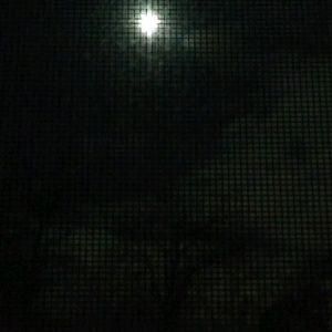 Meet your Posher, Derrick